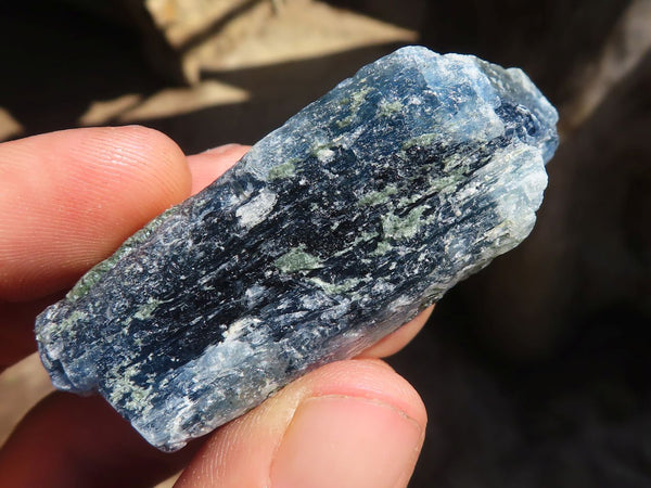 Natural Single Blue Kyanite Crystals  x 35 From Karoi, Zimbabwe - Toprock Gemstones and Minerals 