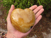 Polished Extra Large Polychrome Jasper Hearts  x 2 From Madagascar