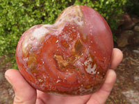 Polished Extra Large Polychrome Jasper Hearts  x 2 From Madagascar