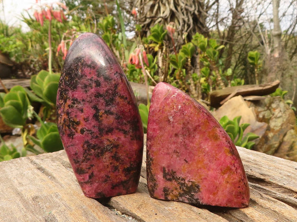 Polished Red Rhodonite Free Forms  x 6 From Zimbabwe - Toprock Gemstones and Minerals 