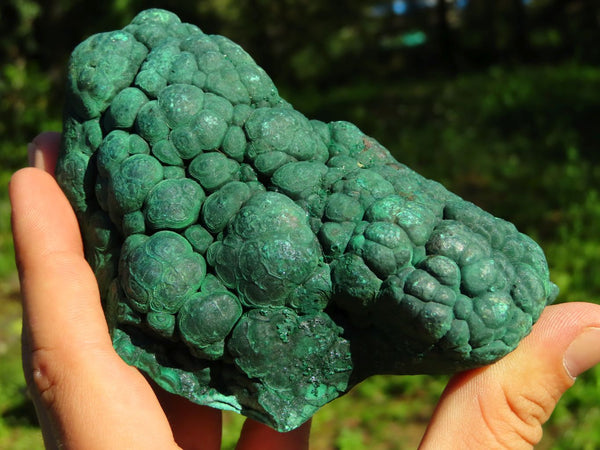 Natural Botryoidal Malachite Specimens x 3 From Kambove, Congo - TopRock