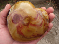 Polished Extra Large Polychrome Jasper Hearts  x 2 From Madagascar