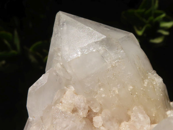 Natural Pineapple Candle Quartz Crystals x 4 From Madagascar - TopRock
