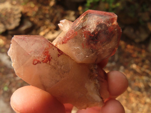Natural Red Hematoid Quartz Specimens x 24 From Karoi, Zimbabwe - Toprock Gemstones and Minerals 