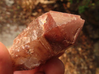 Natural Red Hematoid Quartz Specimens x 24 From Karoi, Zimbabwe - Toprock Gemstones and Minerals 