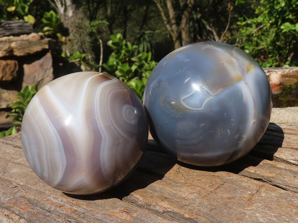 Polished Banded Agate Spheres  x 2 From Madagascar