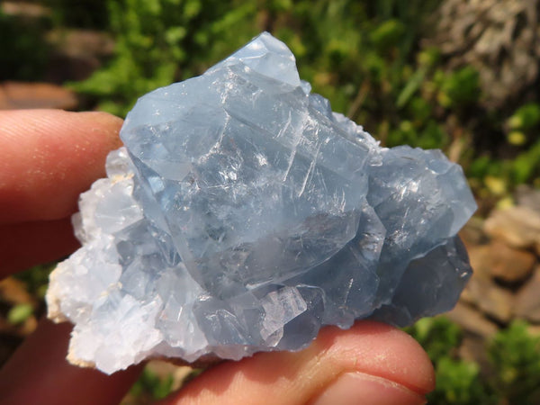 Natural Blue Celestite Crystal Specimens  x 12 From Sakoany, Madagascar - Toprock Gemstones and Minerals 