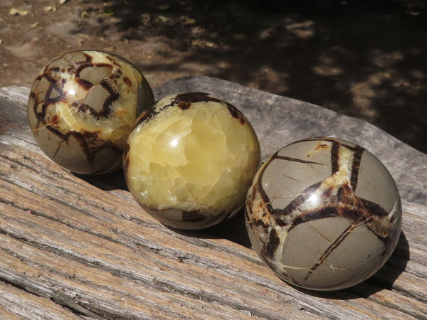 Polished Septarian (Calcite & Aragonite) Spheres x 4 From Mahajanga, Madagascar - TopRock