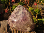 Polished  Large Dream Amethyst Standing Free Forms x 2 From Madagascar - Toprock Gemstones and Minerals 