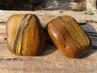 Polished Golden Tigers Eye Free Forms x 2 From Prieska, Northern Cape