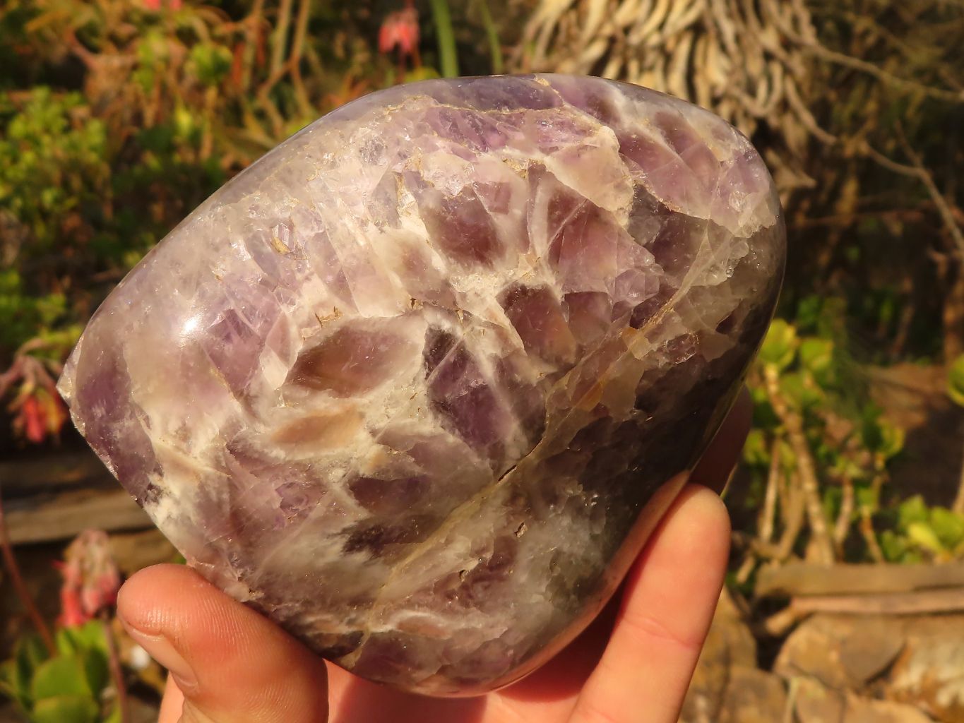 Polished  Large Dream Amethyst Standing Free Forms x 2 From Madagascar - Toprock Gemstones and Minerals 