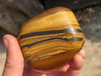 Polished Golden Tigers Eye Free Forms x 2 From Prieska, Northern Cape - Toprock Gemstones and Minerals 