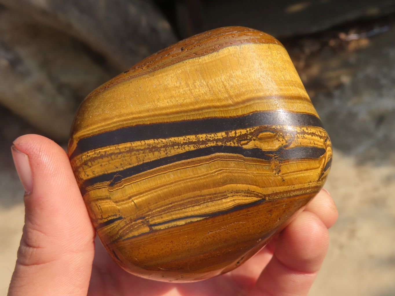 Polished Golden Tigers Eye Free Forms x 2 From Prieska, Northern Cape - Toprock Gemstones and Minerals 
