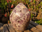 Polished  Large Dream Amethyst Standing Free Forms x 2 From Madagascar - Toprock Gemstones and Minerals 