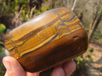 Polished Golden Tigers Eye Free Forms x 2 From Prieska, Northern Cape