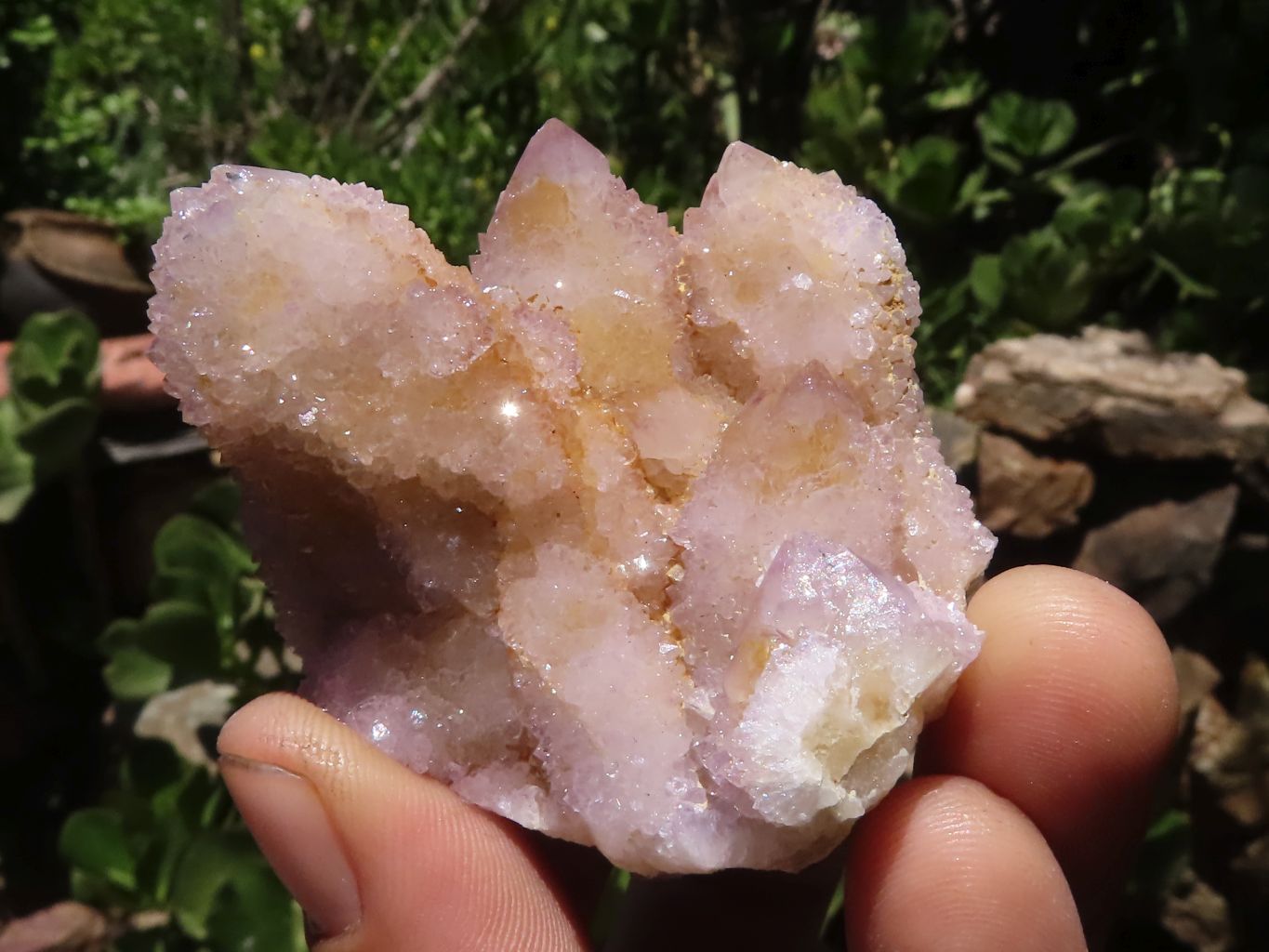 Natural Mixed Spirit Quartz Clusters  x 12 From Boekenhouthoek, South Africa - TopRock