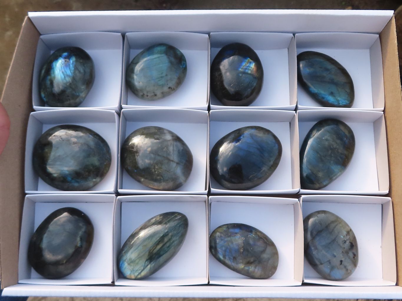 Polished  Flashy Labradorite Palm Stones  x 12 From Tulear, Madagascar - Toprock Gemstones and Minerals 