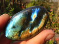 Polished  Flashy Labradorite Palm Stones  x 12 From Tulear, Madagascar - Toprock Gemstones and Minerals 