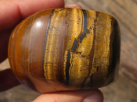 Polished Golden Tigers Eye Free Forms x 2 From Prieska, Northern Cape
