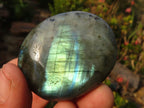 Polished  Flashy Labradorite Palm Stones  x 12 From Tulear, Madagascar - Toprock Gemstones and Minerals 