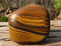 Polished Golden Tigers Eye Free Forms x 2 From Prieska, Northern Cape