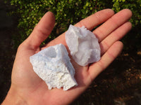 Natural Etched Blue Chalcedony Specimens  x 35 From Nsanje, Malawi - Toprock Gemstones and Minerals 