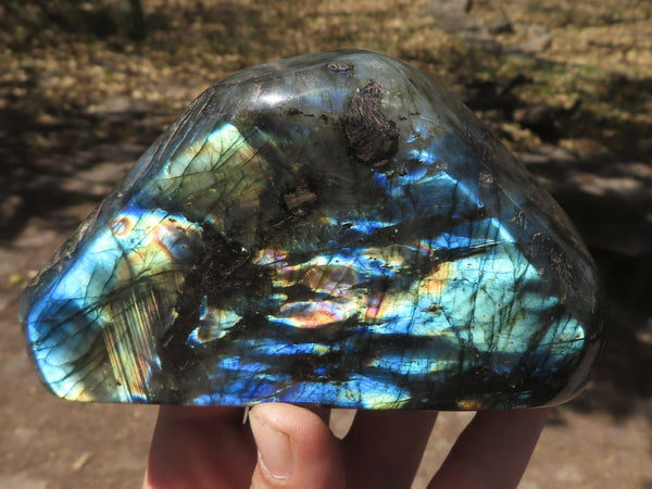 Polished Stunning Labradorite Standing Free Forms With Intense Blue & Gold Flash x 2 From Tulear, Madagascar - TopRock