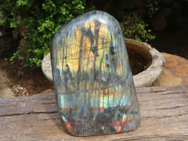 Polished Labradorite Standing Free Form With Blue & Rose Gold Flash  x 1 From Tulear, Madagascar - Toprock Gemstones and Minerals 