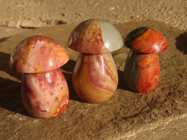 Polished Small Polychrome Jasper Mushrooms  x 35 From Madagascar