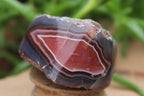 Polished One Side Polished River Agate Nodules - Sold per 1kg - From Sache River, Zimbabwe - TopRock