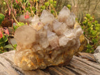 Natural Cascading Smokey Quartz Cluster  x 1 From Luena, Congo - Toprock Gemstones and Minerals 