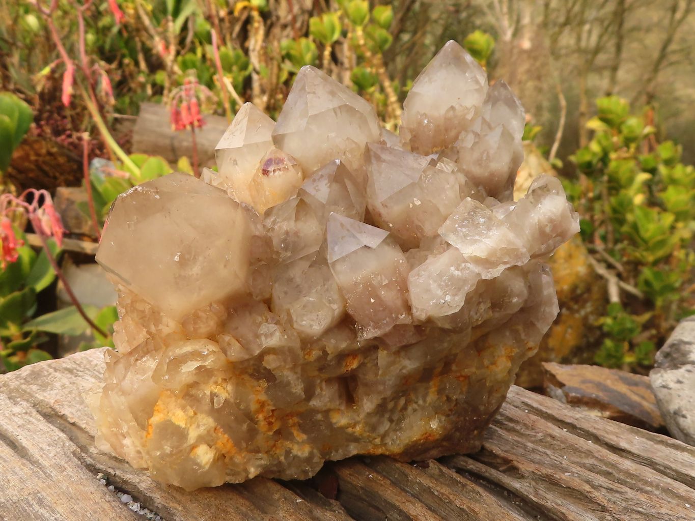 Natural Cascading Smokey Quartz Cluster  x 1 From Luena, Congo - Toprock Gemstones and Minerals 