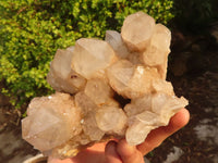 Natural Cascading Smokey Quartz Cluster  x 1 From Luena, Congo - Toprock Gemstones and Minerals 