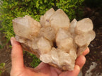 Natural Cascading Smokey Quartz Cluster  x 1 From Luena, Congo - Toprock Gemstones and Minerals 
