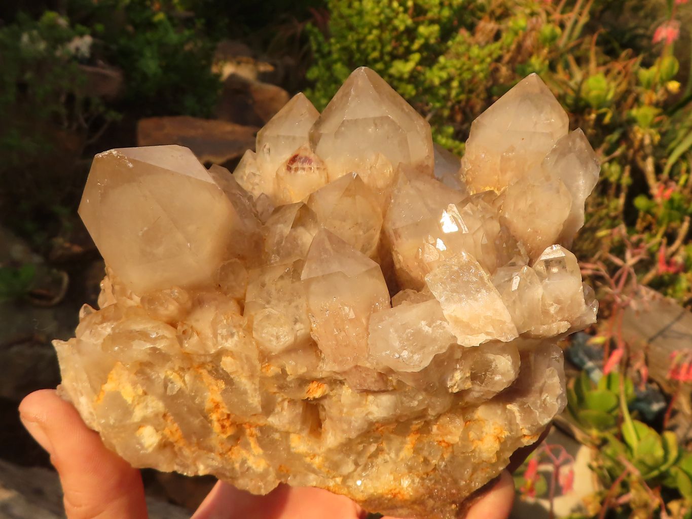 Natural Cascading Smokey Quartz Cluster  x 1 From Luena, Congo - Toprock Gemstones and Minerals 
