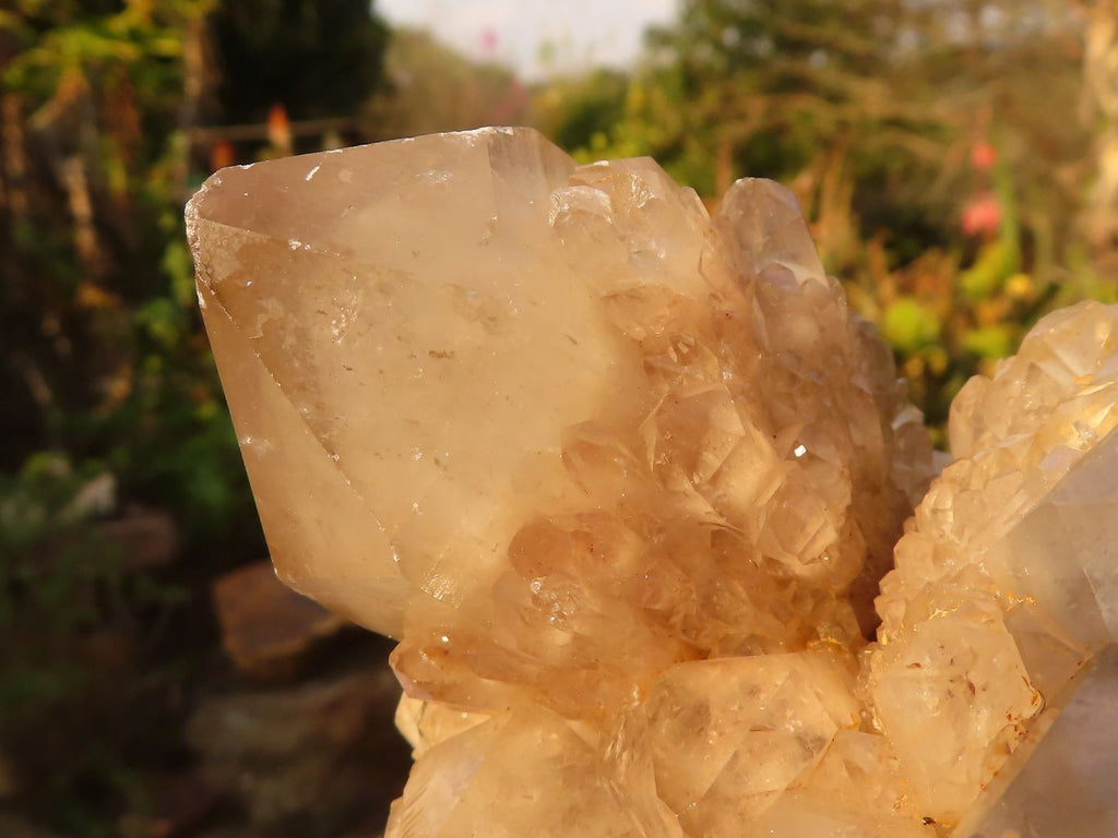 Natural Cascading Smokey Quartz Cluster  x 1 From Luena, Congo - Toprock Gemstones and Minerals 