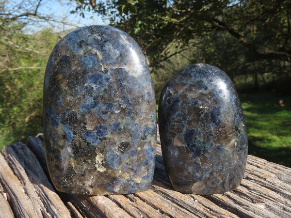 Polished Iolite Water Sapphire Standing Free Forms x 2 From Madagascar - TopRock