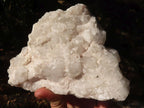 Natural Floater Candle Quartz Clusters  x 2 From Madagascar - Toprock Gemstones and Minerals 