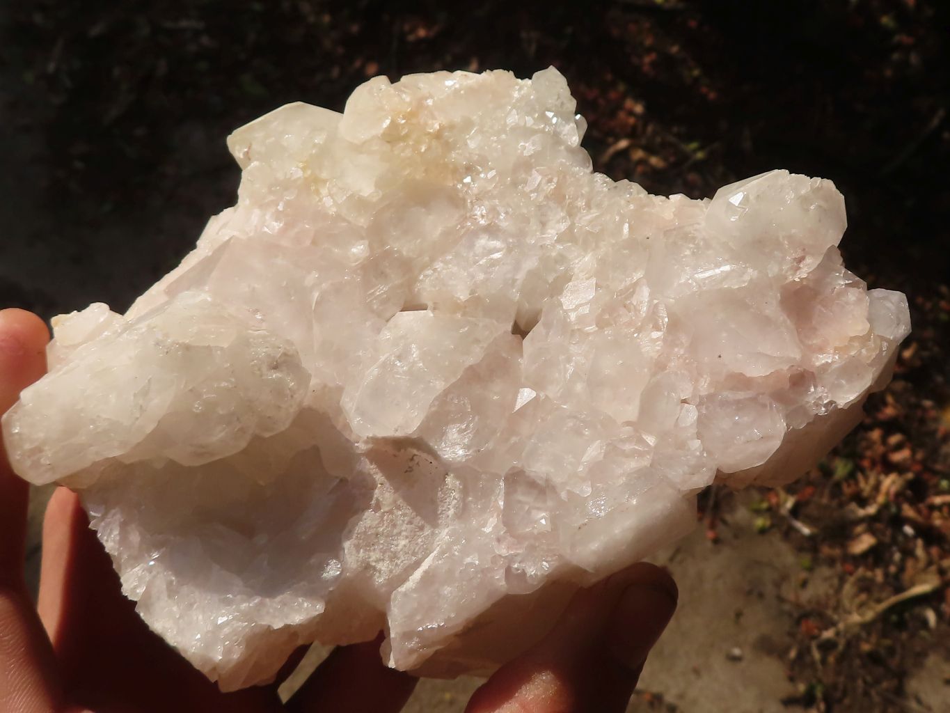 Natural Floater Candle Quartz Clusters  x 2 From Madagascar - Toprock Gemstones and Minerals 