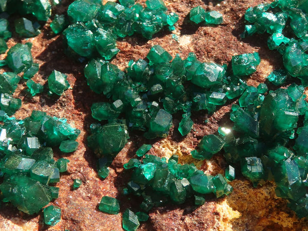 Natural Extra Large Emerald Dioptase Specimen  x 1 From Likasi, Congo - Toprock Gemstones and Minerals 