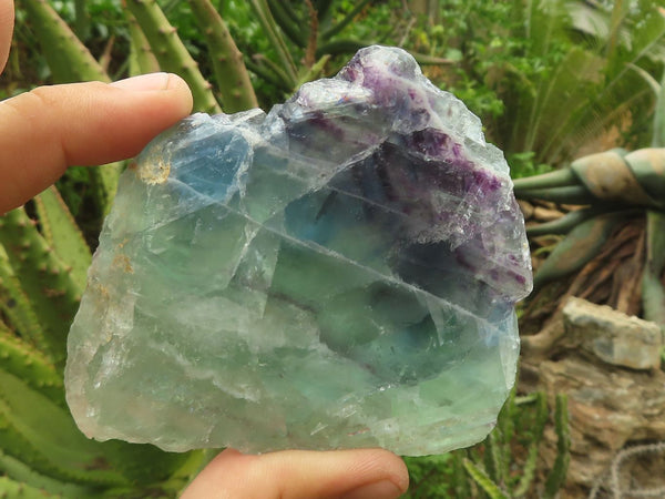 Polished Semi Translucent Watermelon Fluorite Slices  x 6 From Uis, Namibia - TopRock
