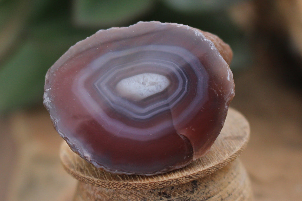 Polished One Sided Sashe River Agate Nodules - sold per 1 Kg - from Sashe River, Zimbabwe - TopRock