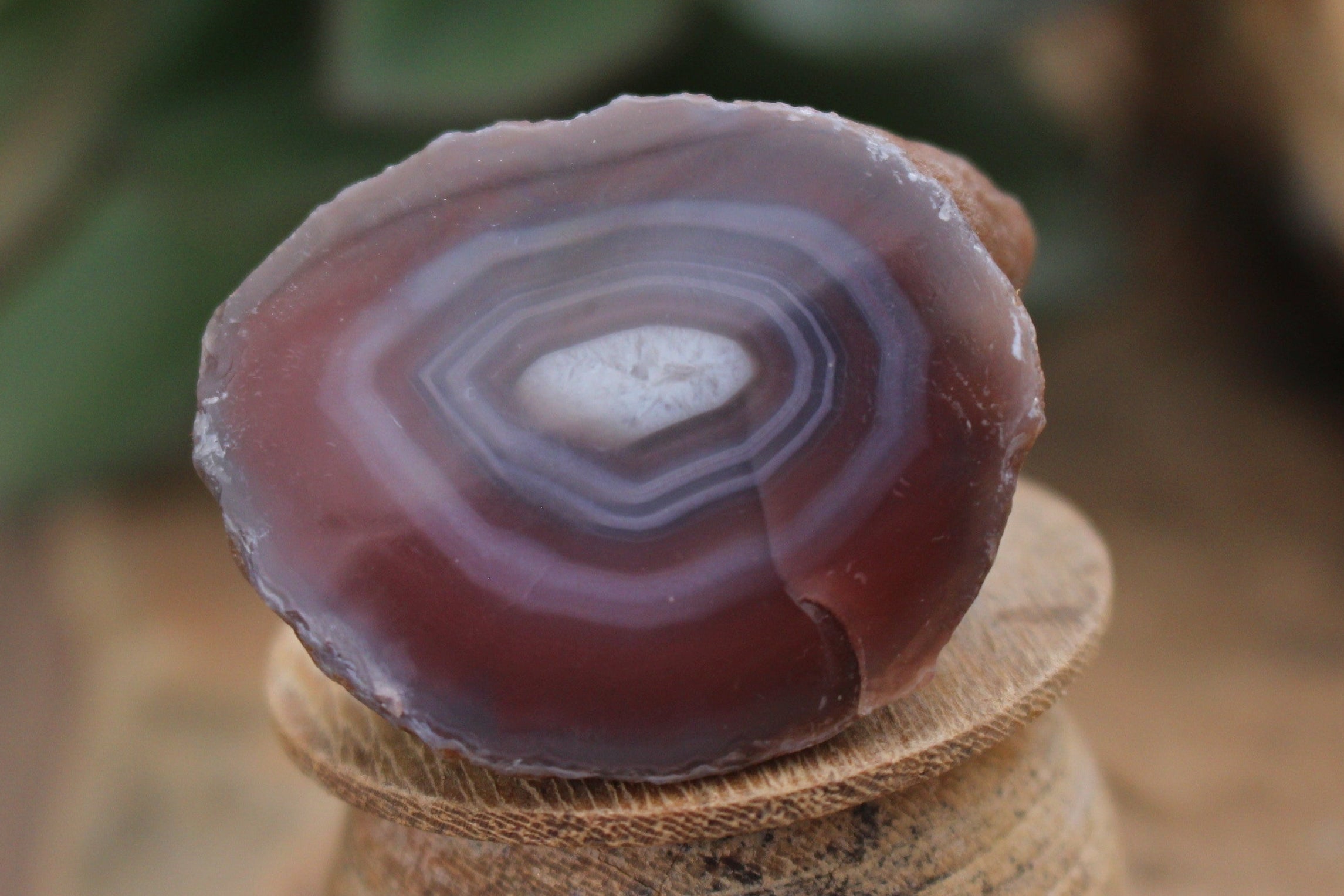 Polished One Sided Sashe River Agate Nodules - sold per 1 Kg - from Sashe River, Zimbabwe - TopRock