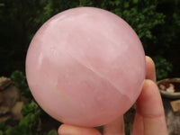 Polished Pink Rose Quartz Spheres  x 2 From Madagascar - TopRock