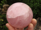 Polished Pink Rose Quartz Spheres  x 2 From Madagascar - TopRock