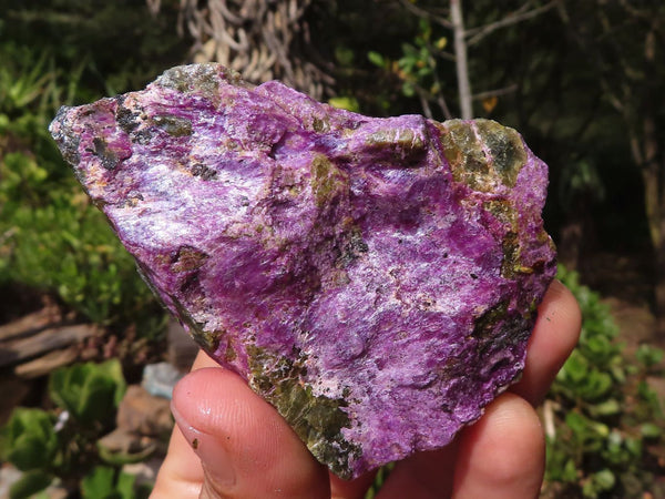 Natural Purple Stichtite & Serpentine Cobbed Pieces  x 12 From Barberton, South Africa - Toprock Gemstones and Minerals 