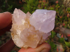 Natural White & Lilac Cactus Flower Spirit Quartz Specimens x 35 From Boekenhouthoek, South Africa - Toprock Gemstones and Minerals 