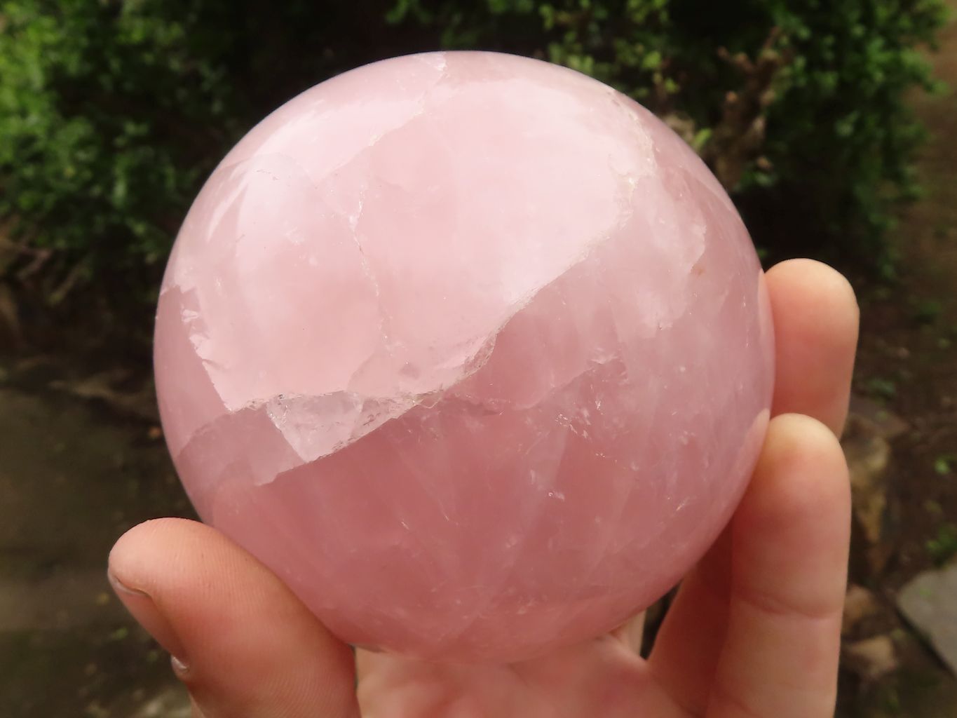Polished Pink Rose Quartz Spheres  x 2 From Madagascar - TopRock
