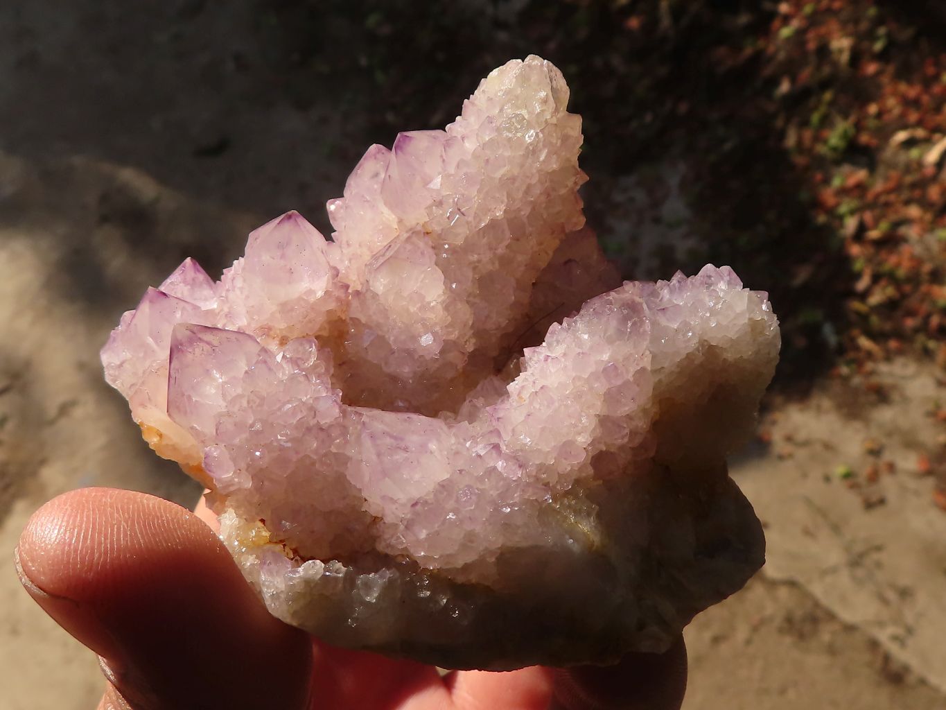 Natural Spirit Amethyst Quartz Clusters x 13 From Boekenhouthoek, South Africa - Toprock Gemstones and Minerals 