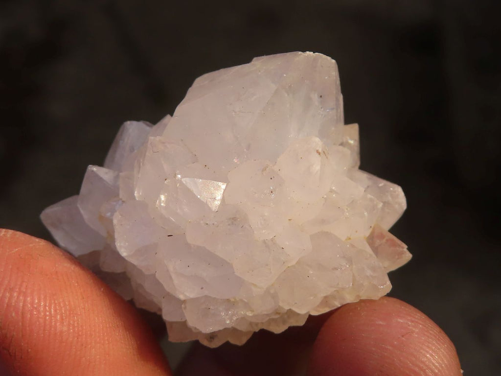 Natural White & Lilac Cactus Flower Spirit Quartz Specimens x 35 From Boekenhouthoek, South Africa - Toprock Gemstones and Minerals 